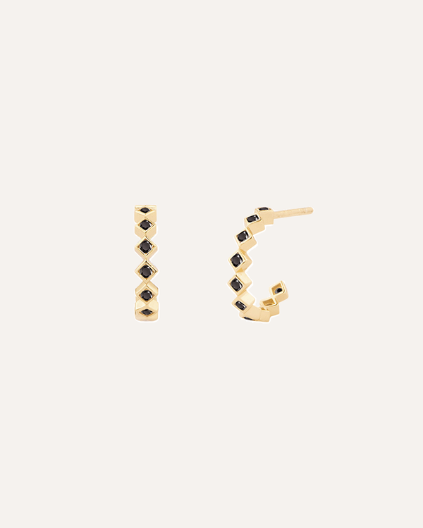 Black Chroma Earrings