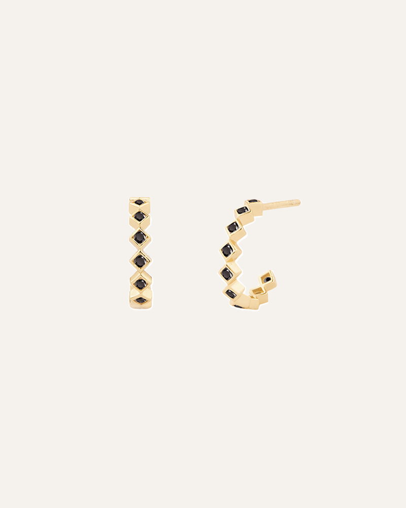Black Chroma Earrings